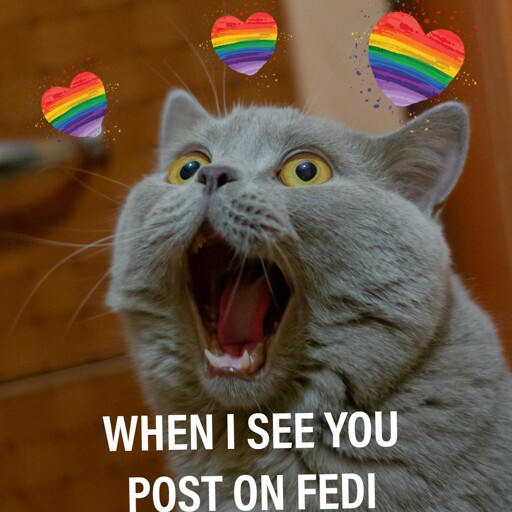 An amazed cat with gay hearts with the caption “when I see you post on fedi”