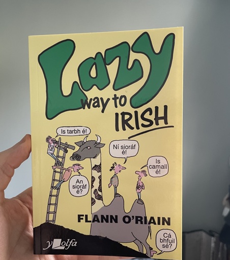 The main image shows the cover of an Irish language book called Lazy way to Irish. The body image is from within the book and shows basic cartoons illustrating ideas such as a bus being full (of people).
