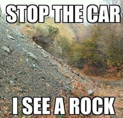 Meme of a gravel-y hillside with bushes around. It's captioned: "Stop the car, I see a rock."