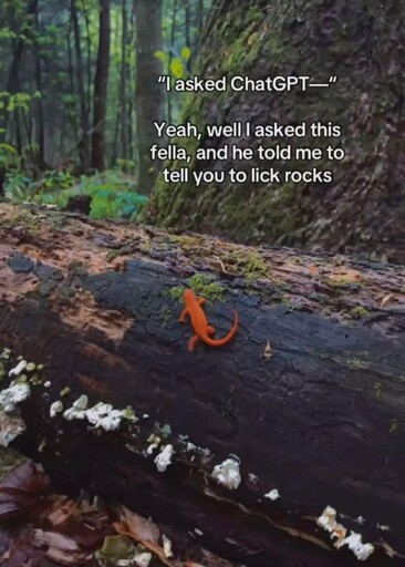 '"I asked ChatGPT-" Yeah, well I asked this fella, and he told me to tell you to lick rocks' Picture of a small orange lizard on a fallen tree