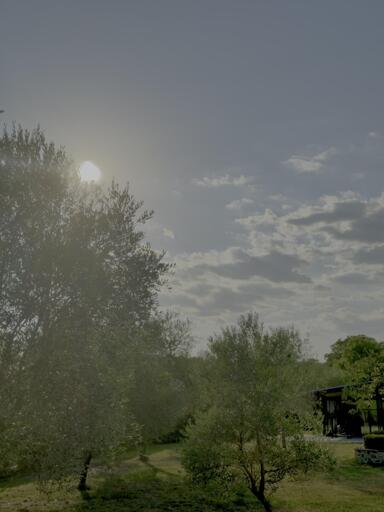 Paesaggio toscano con alberi e cielo sereno, luce del sole che entra a sinistra e nuvole sparse.