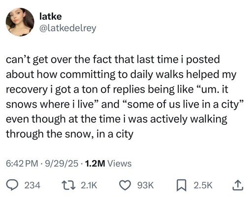 meme, snow, city, walkable, commute