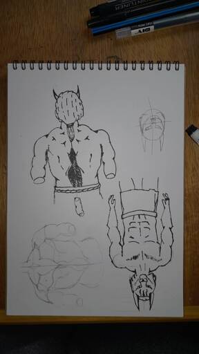 drawing consists of back view of a anthromorphic animal on the top left, pencil drawing of back muscles on the bottom left, unfinished drawing of a lynx head on the top right, and an upside-down upper body of a anthromorphic animal on the bottom right