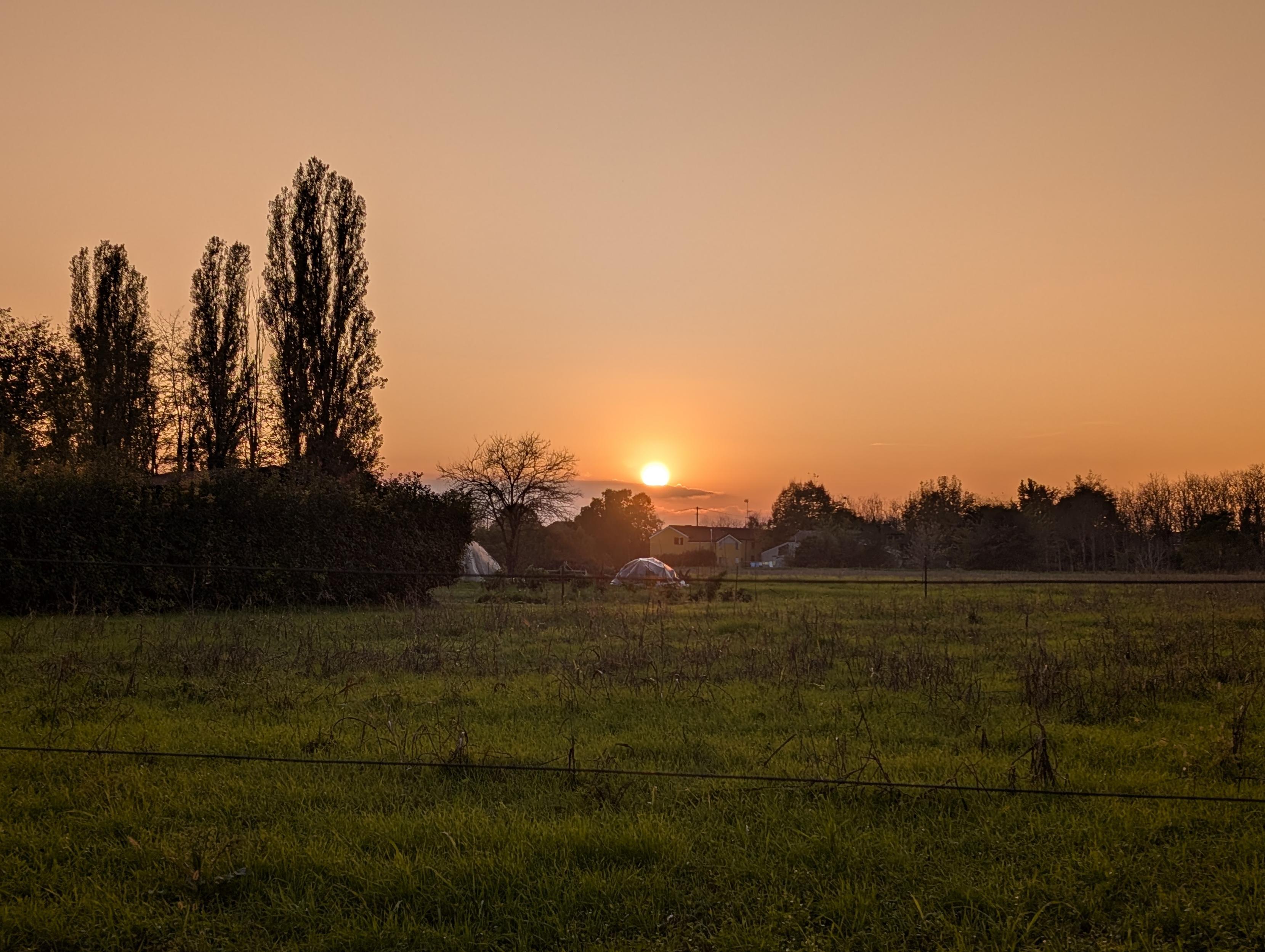 A serene sunset paints the sky in soft orange hues, casting a warm glow over a tranquil countryside scene. Silhouetted poplar trees stand tall against the horizon, while fields of vibrant green grass stretch into the distance. In the background, a scattering of rustic buildings and shrubs add a touch of charm. The scene captures a peaceful moment of transition between day and night, enhanced by the clarity and vivid colors captured by a Pixel 9 Pro XL running GrapheneOS.