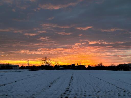 A snow-covered field stretches into the foreground, with a vibrant sunrise in the background featuring shades of orange and pink amidst cloudy skies. Silhouettes of trees and power lines punctuate the landscape.