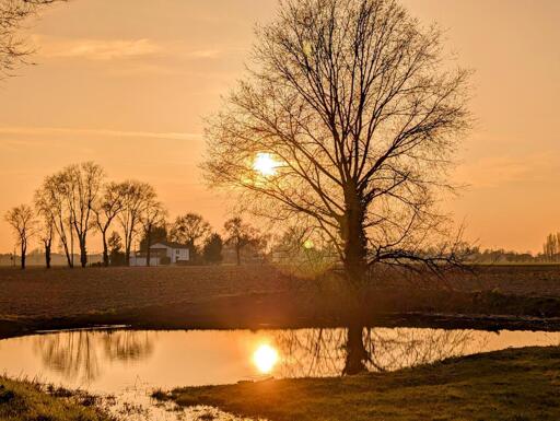 A serene winter landscape as the season begins to fade. The sun sets behind leafless trees, casting warm golden hues across the sky and reflecting on a calm pond. The soft colors of the sunset, signaling the end of winter, bring a sense of renewal and tranquility to the scene.