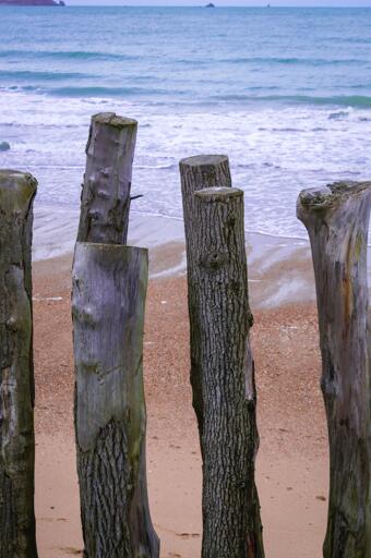 A beach and water washing it, some rocks visible in the distance and vertically placed logs of wood in the foreground