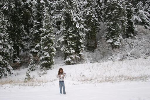 S small kids stands in the snow in front of snowy woods, preparing a huge snowball in both hands to throw at dad.