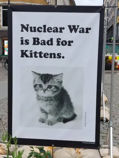 White Signs with black letters that says Nuclear war is bad for kittens with picture of grey tabby kitten